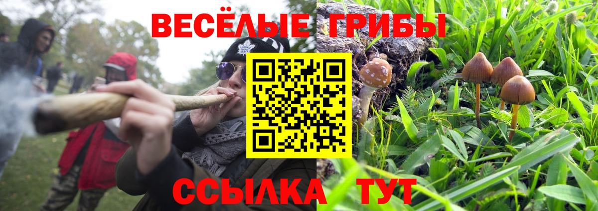 Галлюциногенные грибы Cubensis  Псилоцибиновые грибы ЛСД  Вход с VPN  Белая Калитва 
