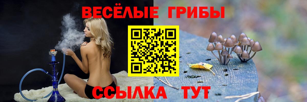 Галлюциногенные грибы прущие грибы Белая Калитва